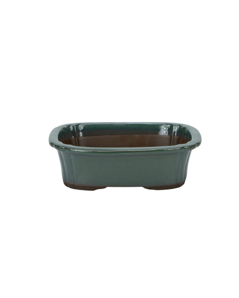 Bonsai pot donker groen mokko 22cm