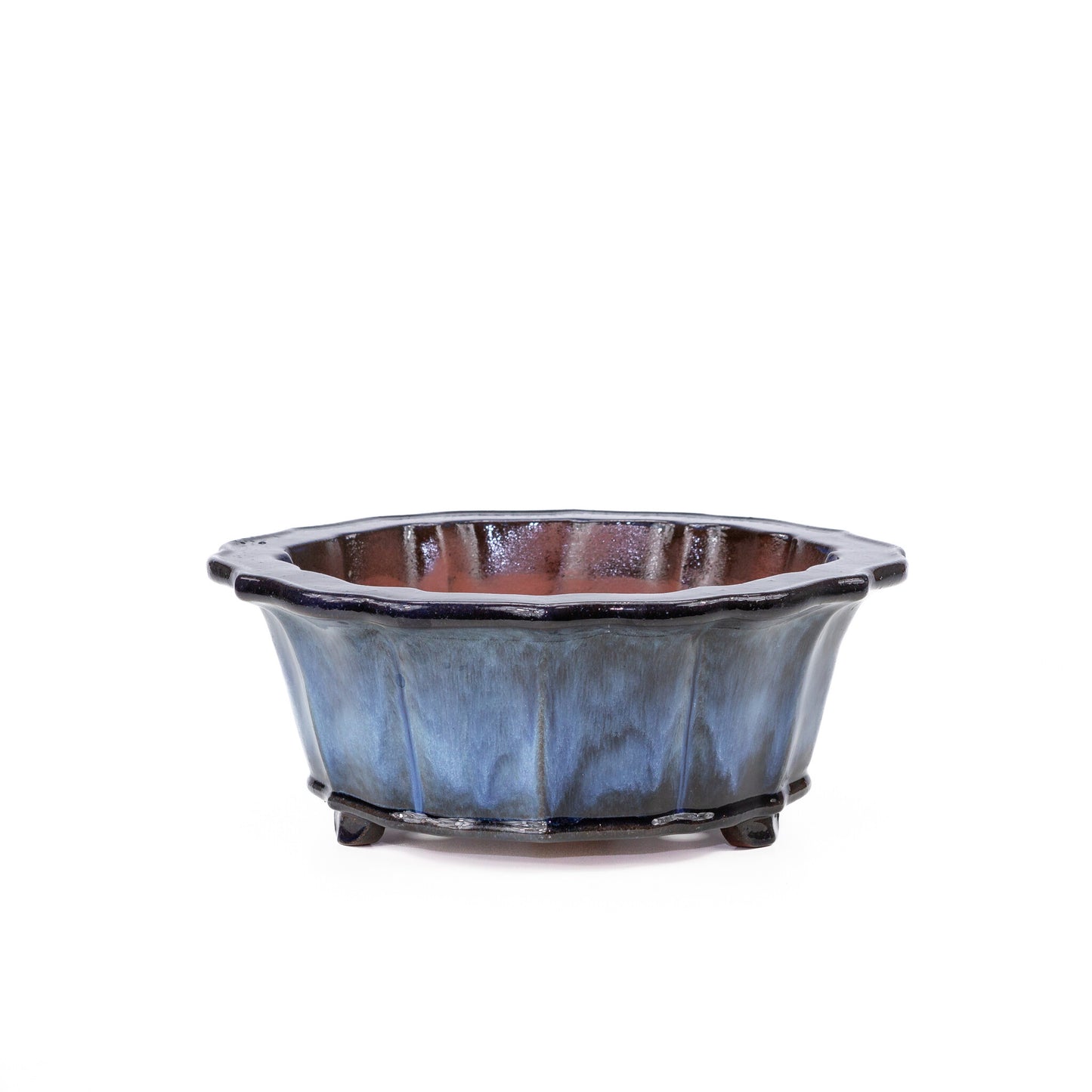 Bonsai pot chrysanten rond blauw zwart 30cm