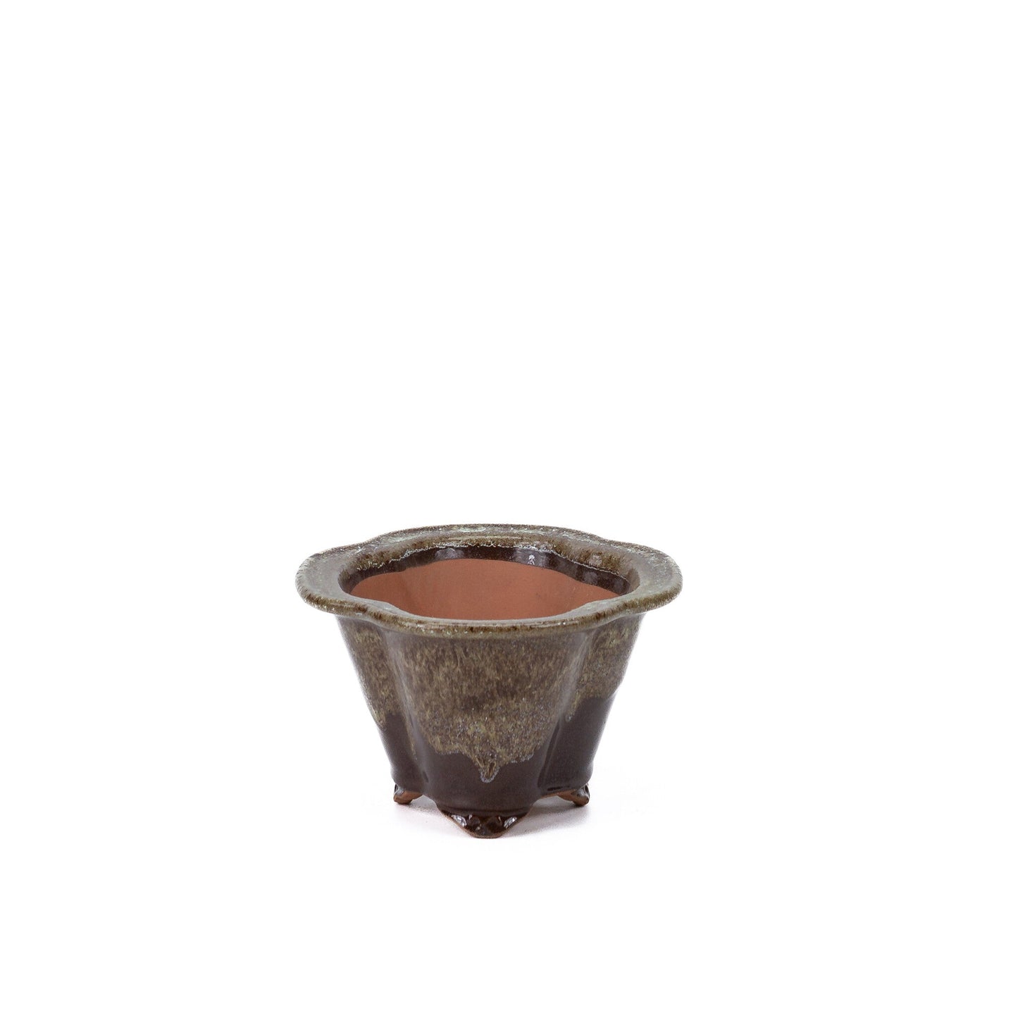 Bonsai pot chrysanthemums brown beige 15.5cm