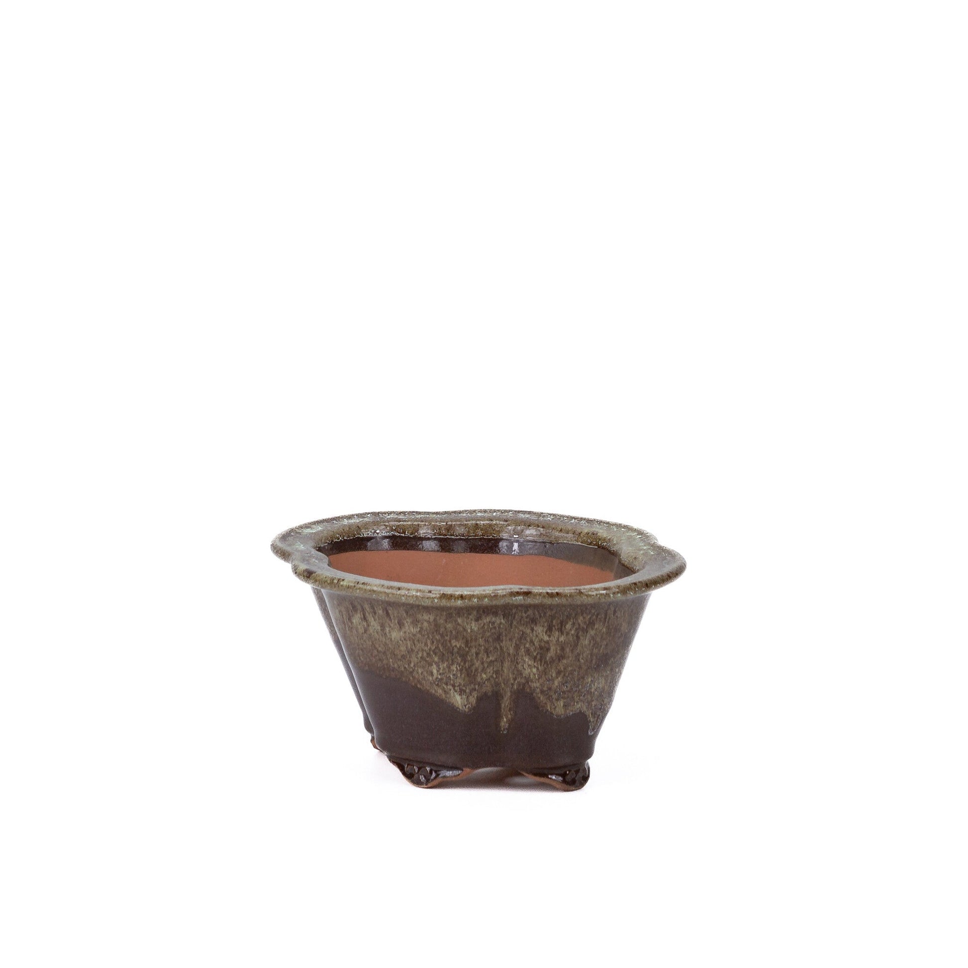 Bonsai pot chrysanthemums brown beige 15.5cm