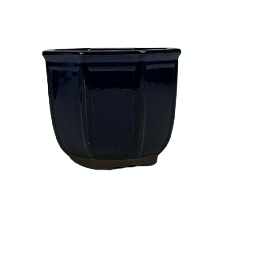 Bonsai pot cascade blauw 16cm