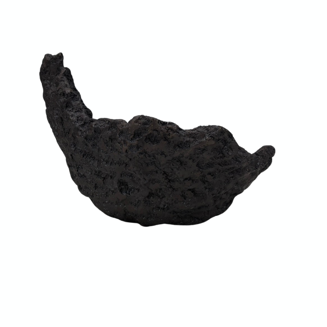 Moon bonsai pot clay pot 28cm