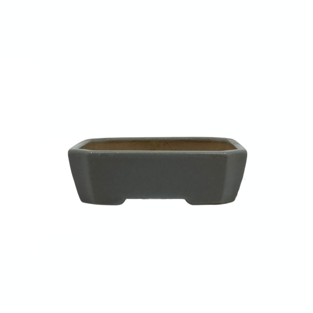 Bonsai pot - rectangular, glazed, light blue-gray (17cm wide)