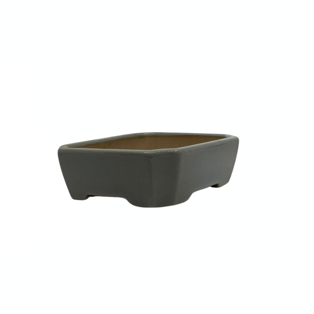 Bonsai pot - rectangular, glazed, light blue-gray (17cm wide)
