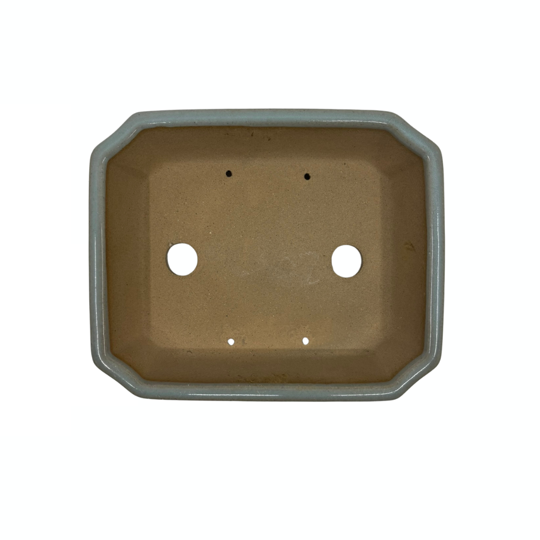 Bonsai pot - rectangular, glazed, light blue-gray (17cm wide)