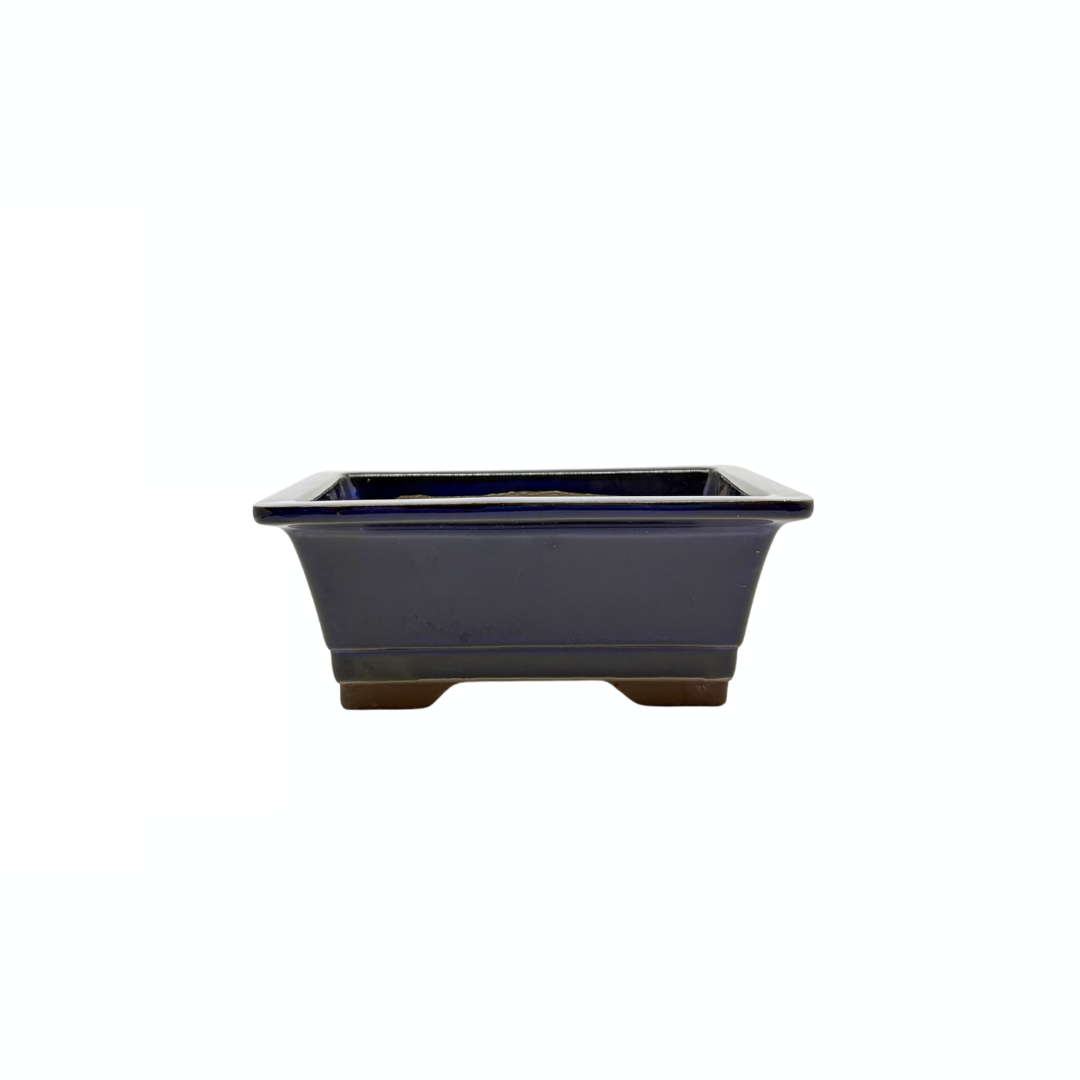 Bonsai pot set - rectangular, glazed, blue (14cm wide)