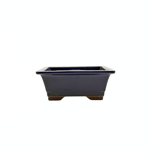 Bonsai pot set - rectangular, glazed, blue (14cm wide)