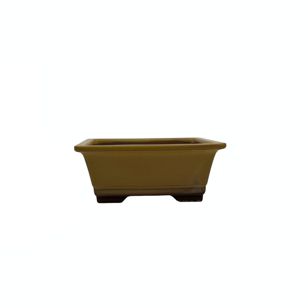 Bonsai pot set - rectangular, glazed, yellow (14cm wide)