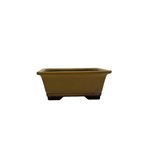 Bonsai pot set - rectangular, glazed, yellow (14cm wide)