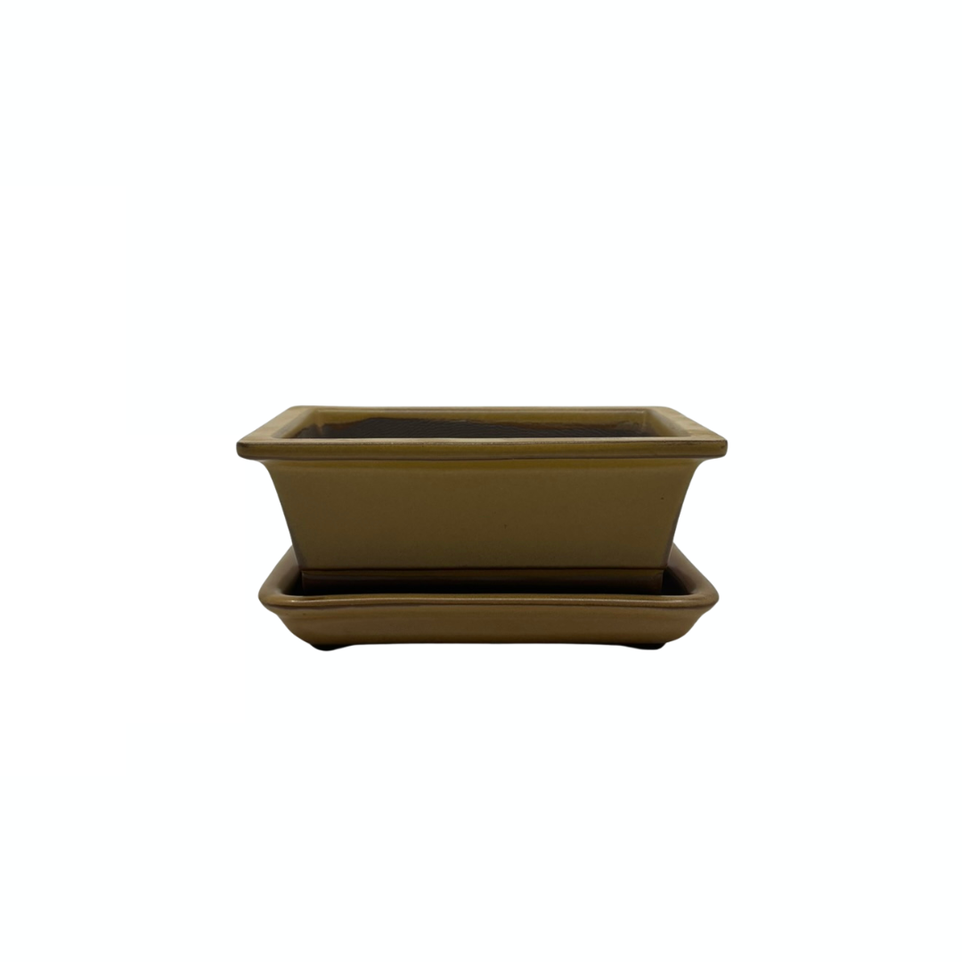 Bonsai pot set - rectangular, glazed, yellow (14cm wide)