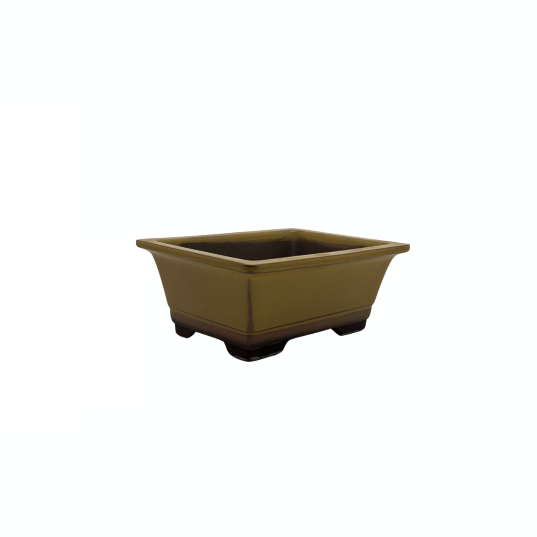 Bonsai pot set - rectangular, glazed, yellow (14cm wide)