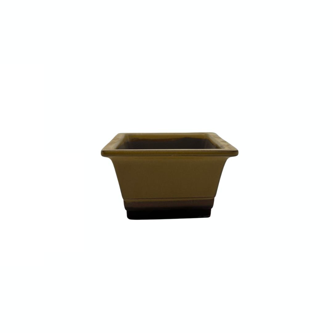Bonsai pot set - rectangular, glazed, yellow (14cm wide)
