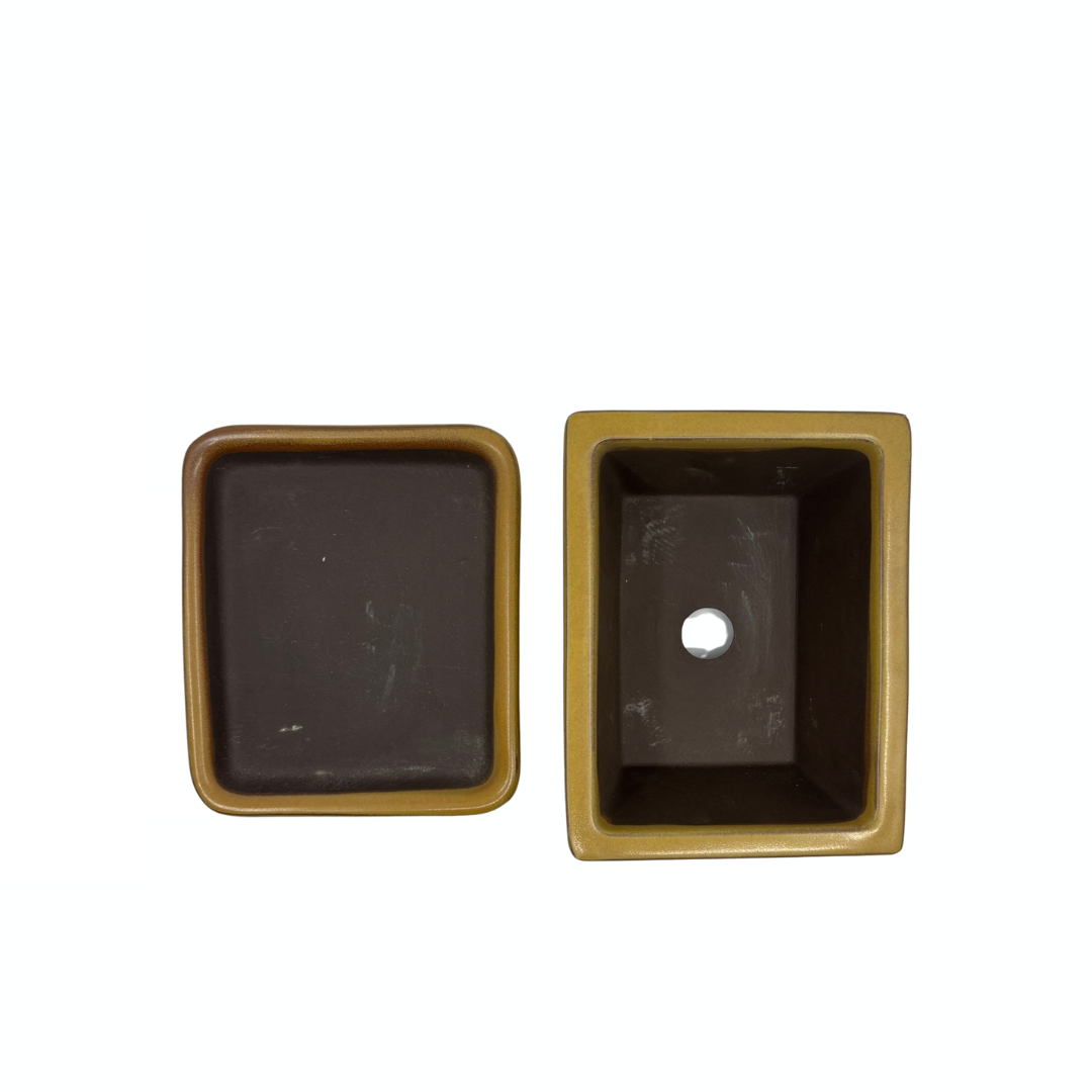Bonsai pot set - rectangular, glazed, yellow (14cm wide)