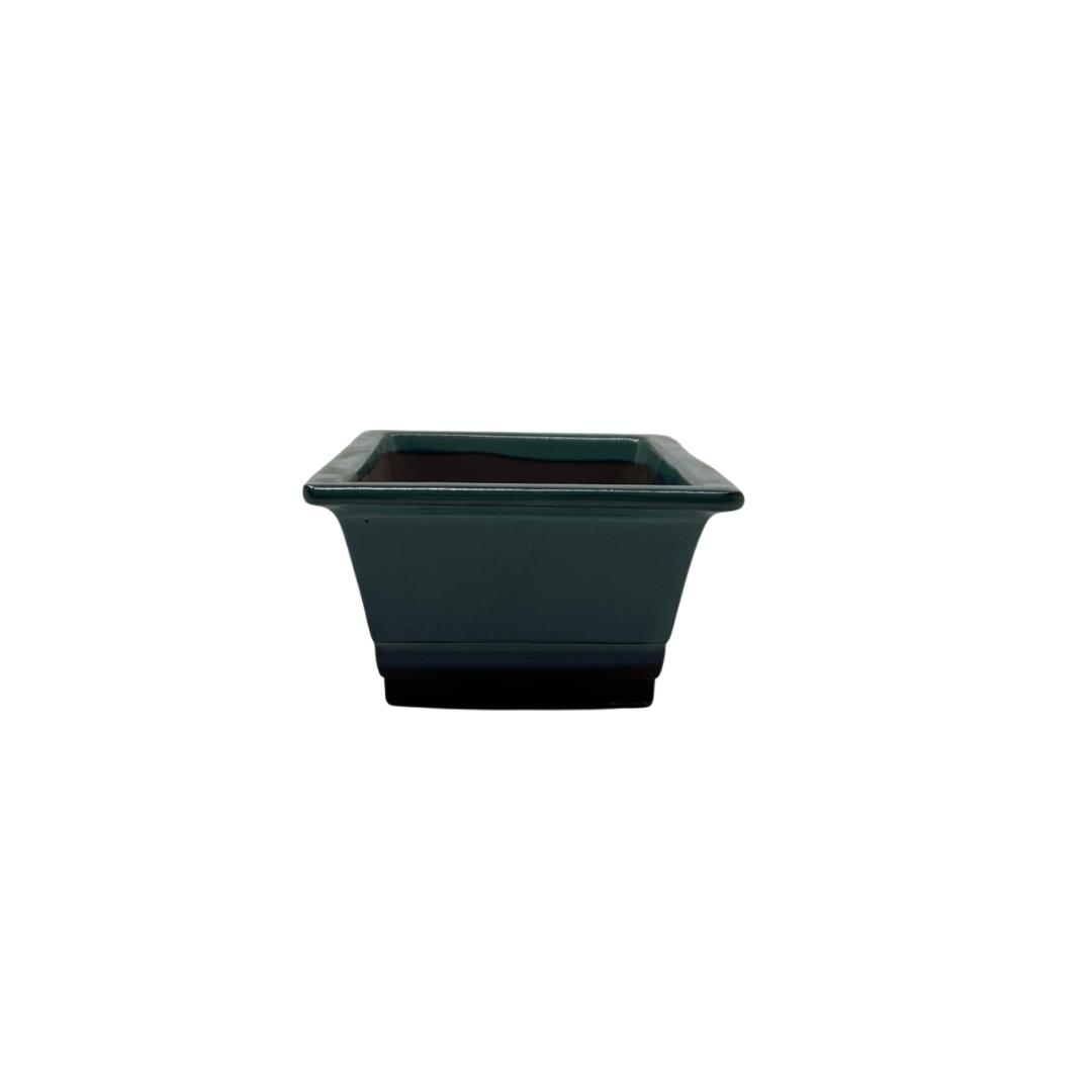 Bonsai pot set - rectangular, glazed, green (14cm wide)