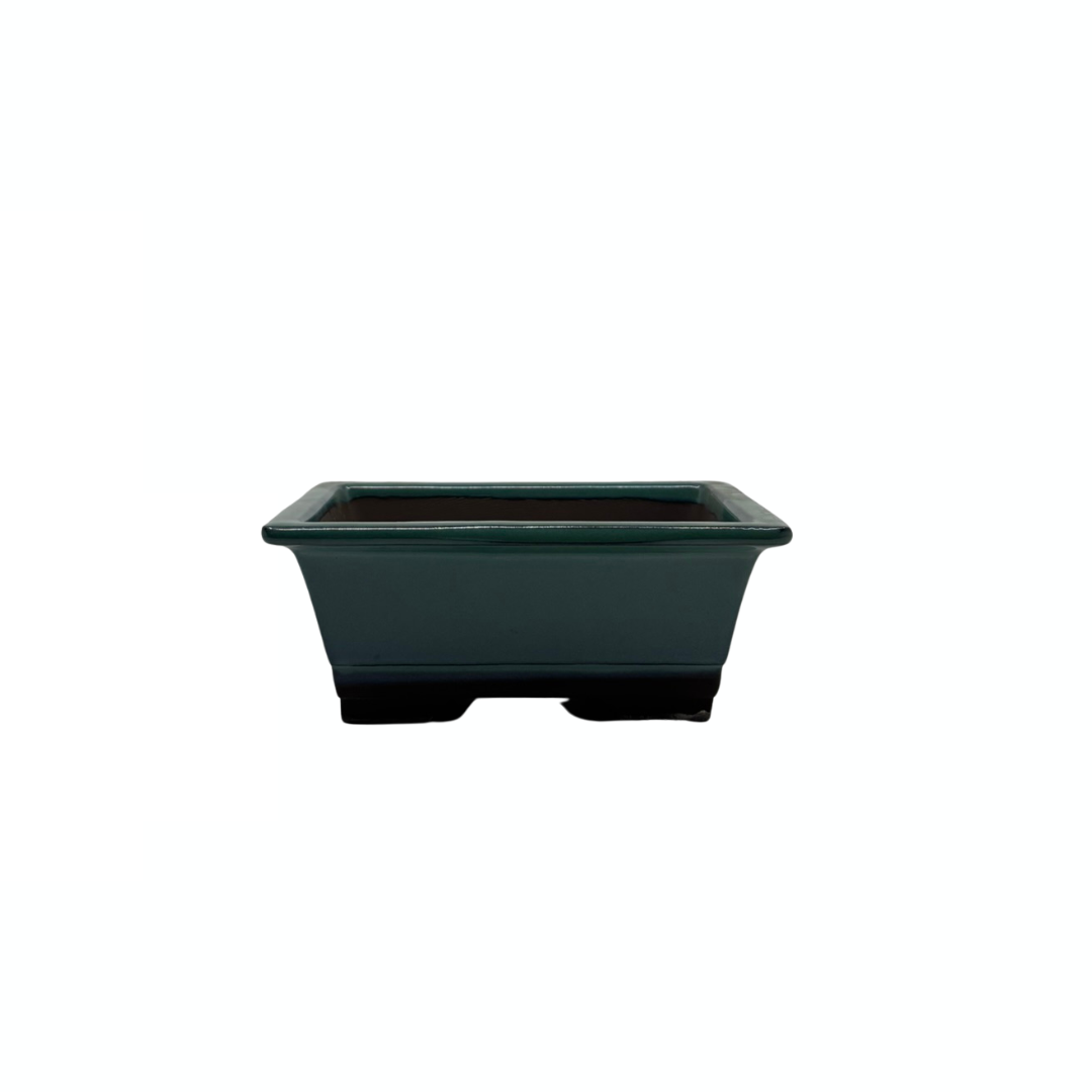 Bonsai pot set - rectangular, glazed, green (14cm wide)