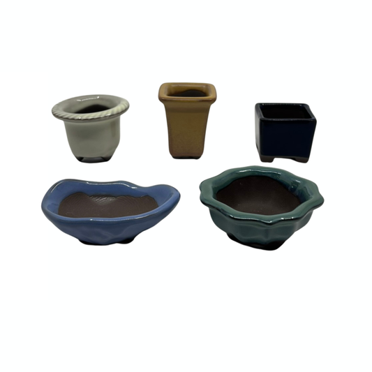 Mame pot set of 5 (4-7cm wide)