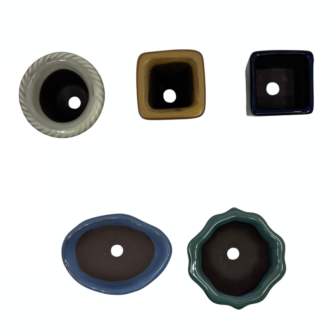 Mame pot set of 5 (4-7cm wide)