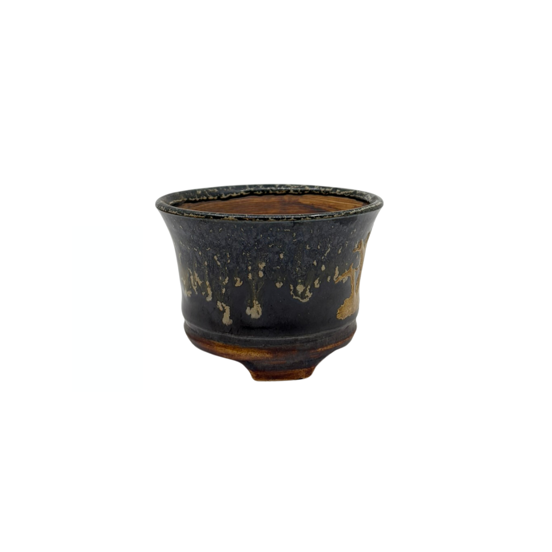 Shohin Bonsai pot black with gold René Lecocq 9cm