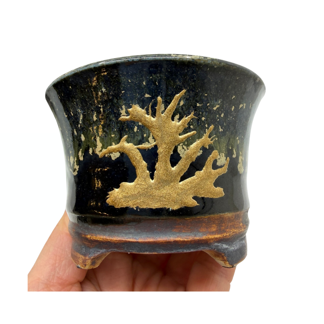 Shohin Bonsai pot black with gold René Lecocq 9cm