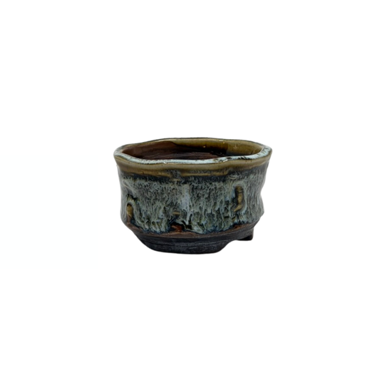 Shohin Bonsai Pot Brown Cream René Lecocq 9cm