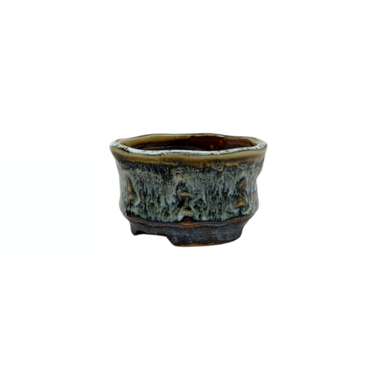 Shohin Bonsai Pot Brown Cream René Lecocq 9cm