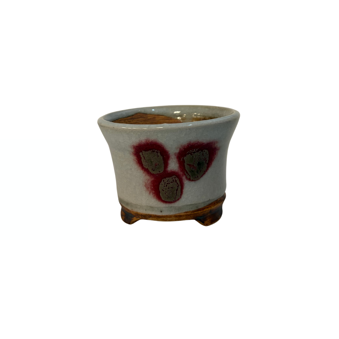 Shohin Bonsai pot crème met zachte ronde vlekken René Lecocq 9cm