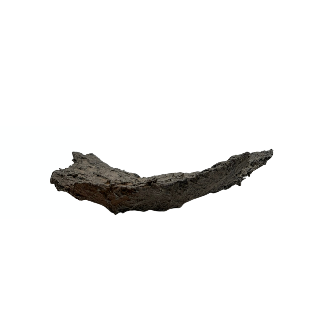 Bonsai slab grey with beige accents 18cm