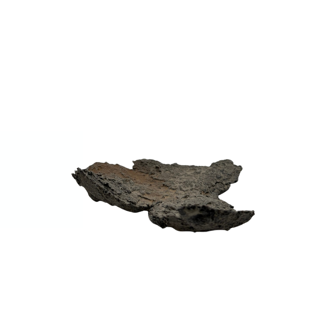Bonsai slab grey with beige accents 18cm