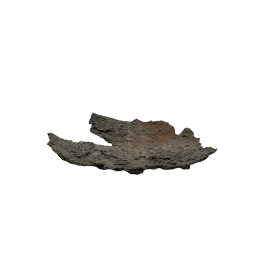 Bonsai slab grey with beige accents 18cm