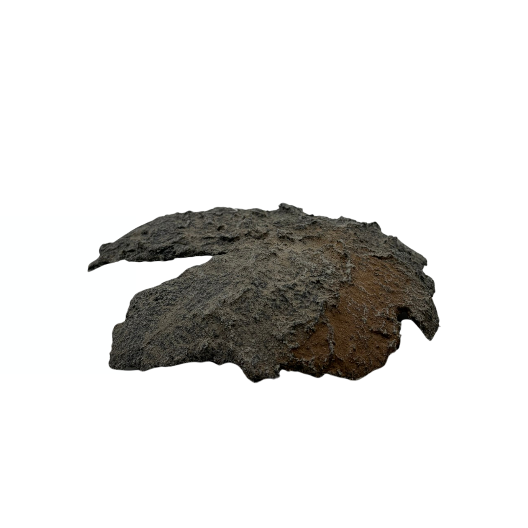 Bonsai slab grey with beige accents 18cm
