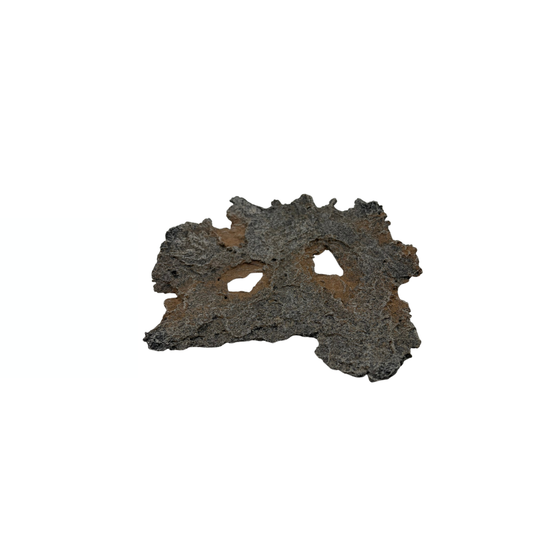 Brown bonsai slab with rust accents 16cm