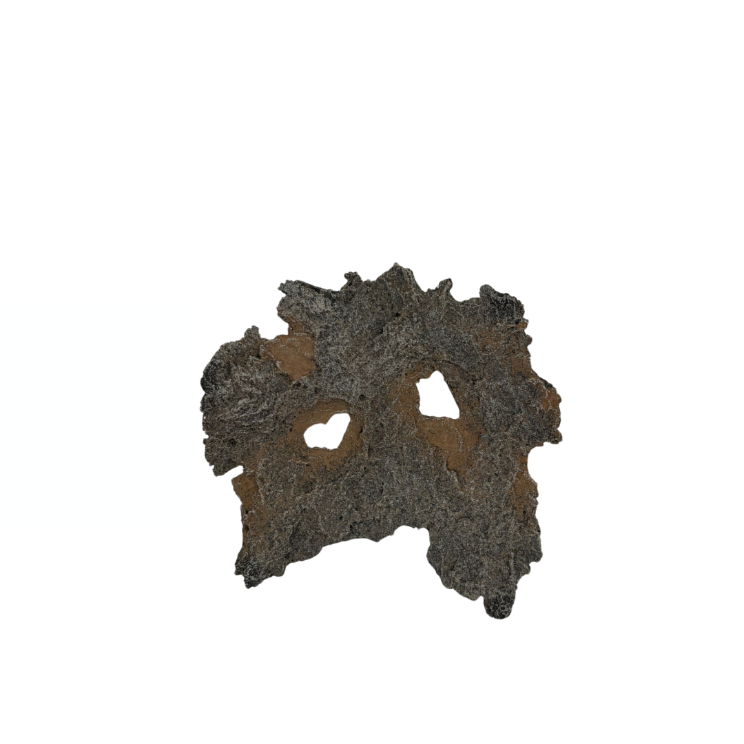 Brown bonsai slab with rust accents 16cm