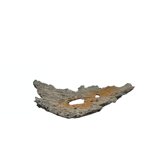 Bonsai slab light grey with orange accents 19cm