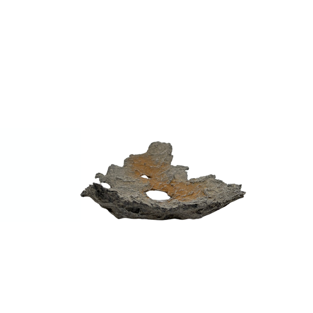 Bonsai slab light grey with orange accents 19cm