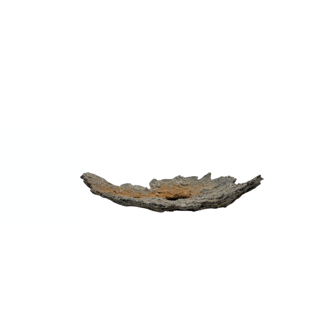 Bonsai slab light grey with orange accents 19cm