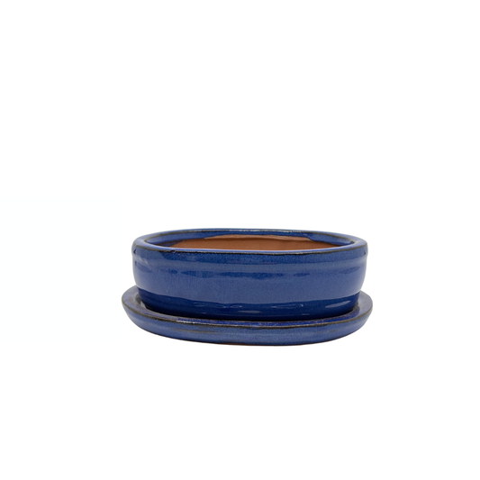 Bonsai pot blue oval 16cm - set