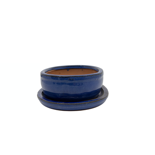 Bonsai pot blue oval 16cm - set