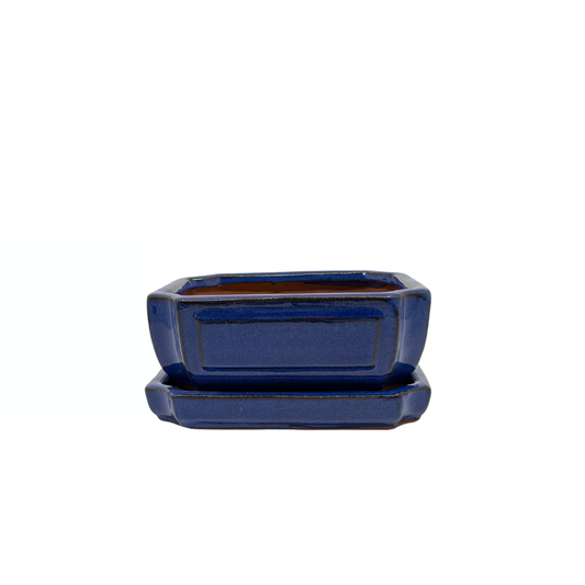 Bonsai pot blue rectangular 15cm - set