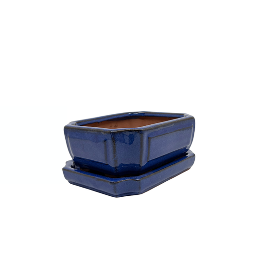 Bonsai pot blue rectangular 15cm - set