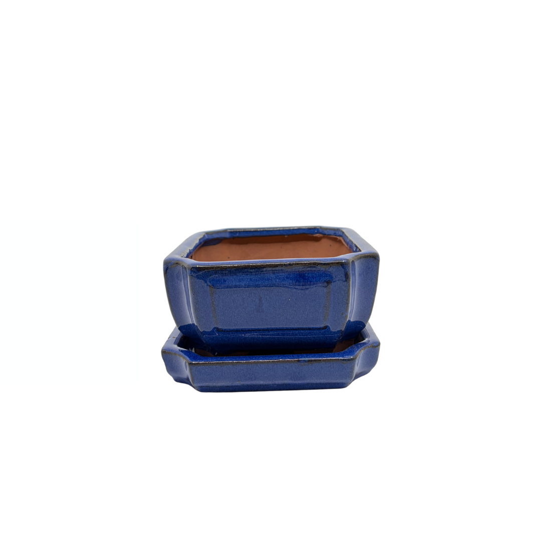 Bonsai pot blue rectangular 15cm - set