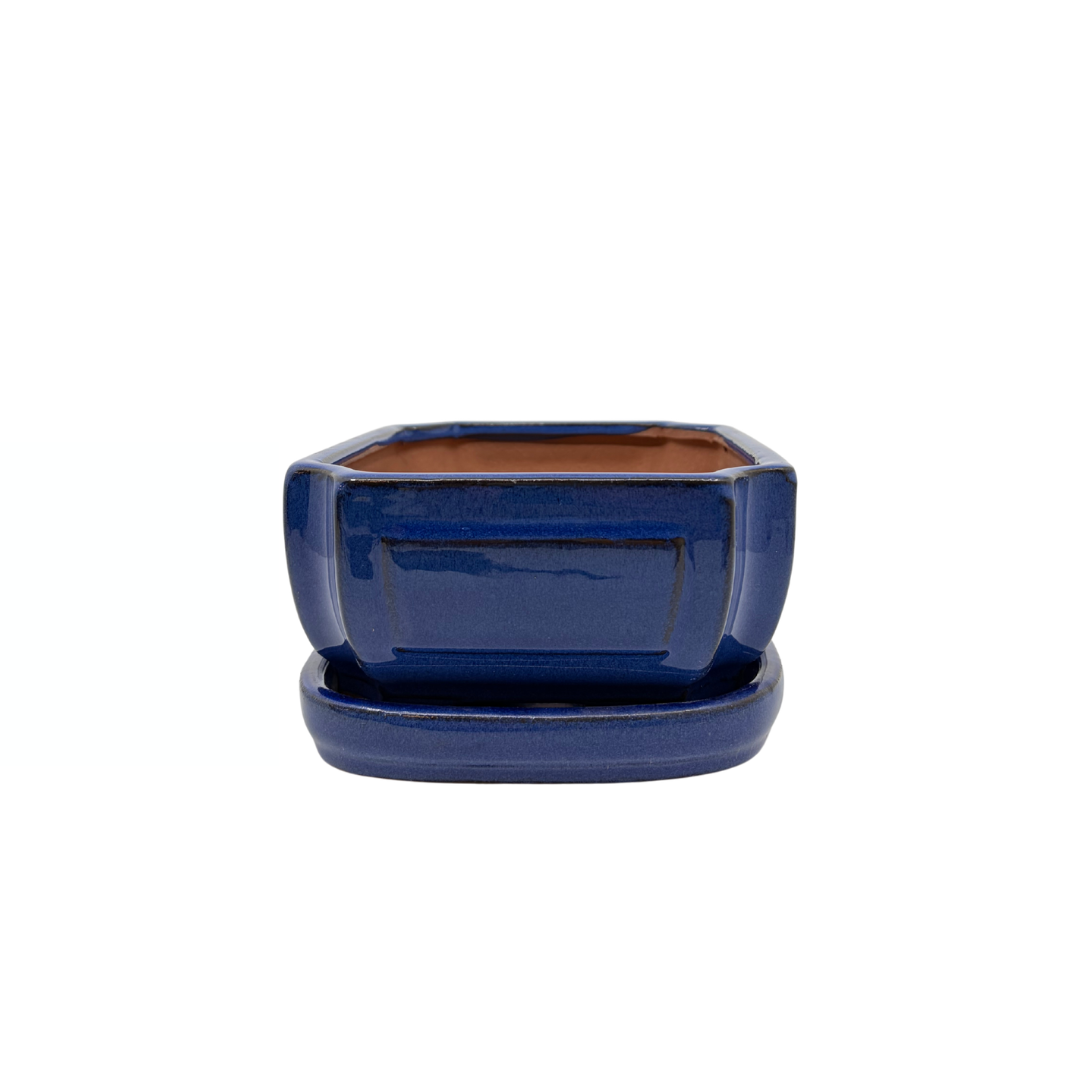 Bonsai pot blue rectangular 20cm - set