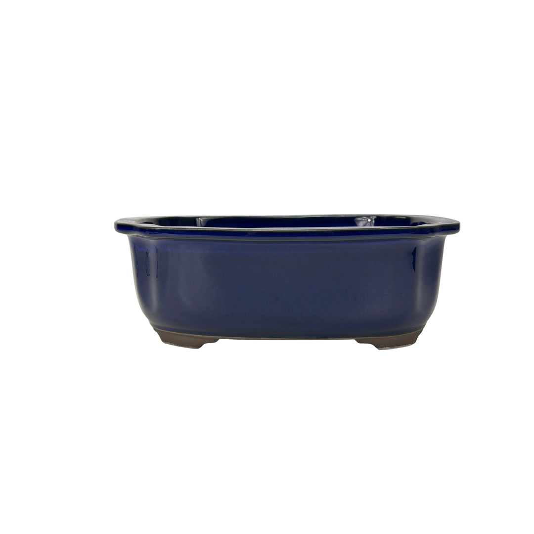 Bonsai pot blue mokko 25cm
