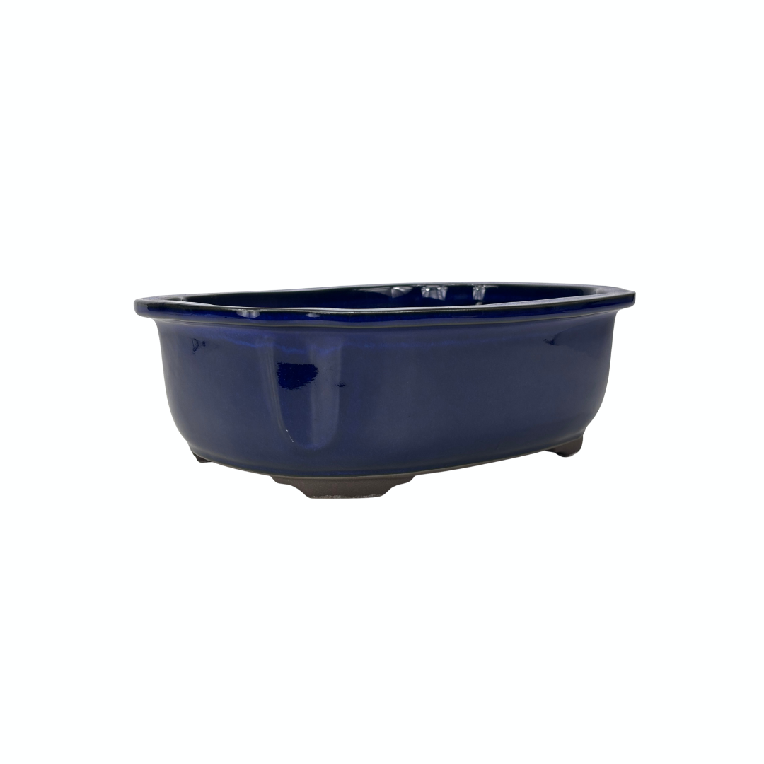 Bonsai pot blue mokko 25cm