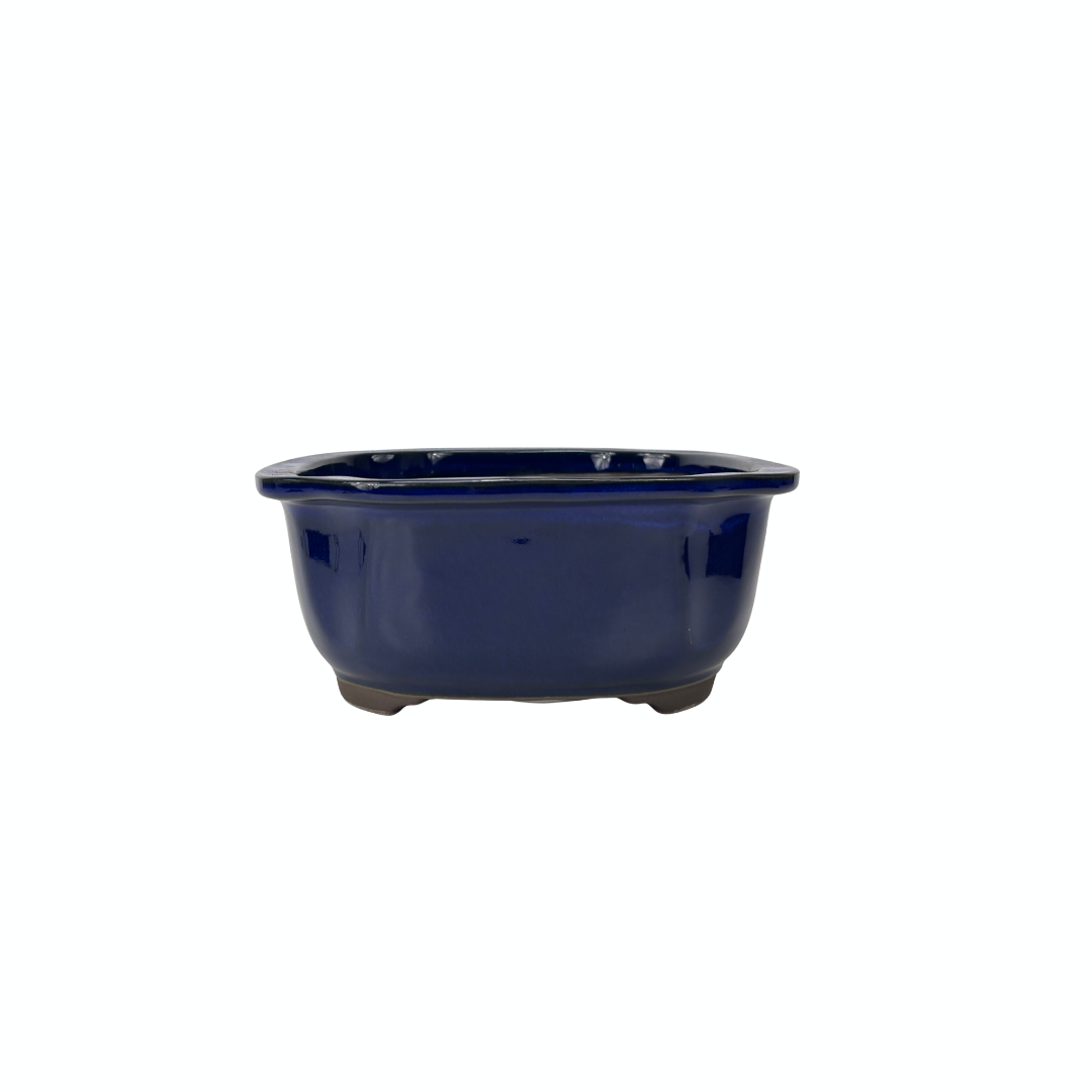 Bonsai pot blue mokko 25cm