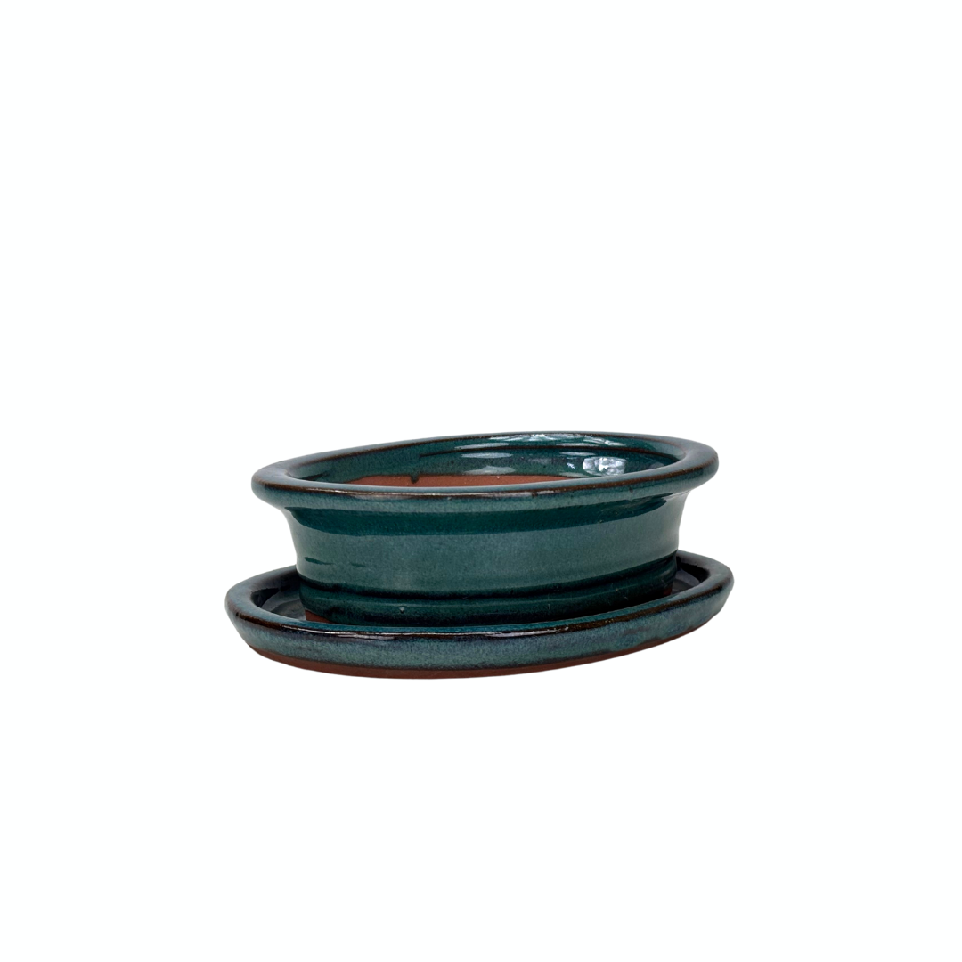 Bonsai pot green oval with edge 16cm - set