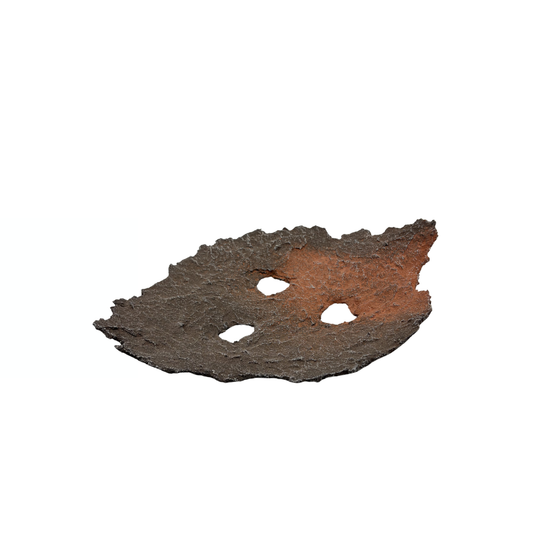 Bonsai slab brown with red accents 26cm