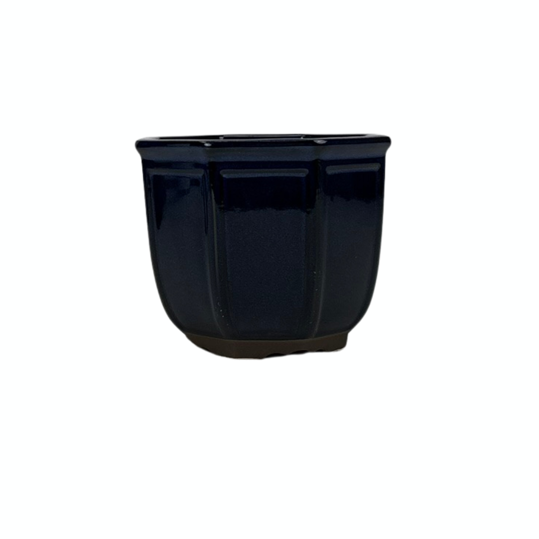 Bonsai pot cascade blauw 16cm