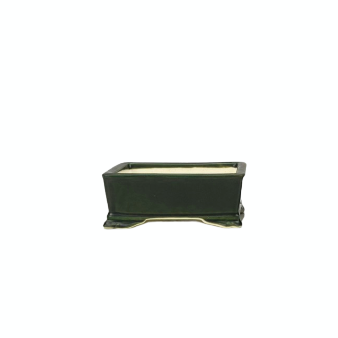 Bonsai pot - rectangular, glazed, green (10cm wide)