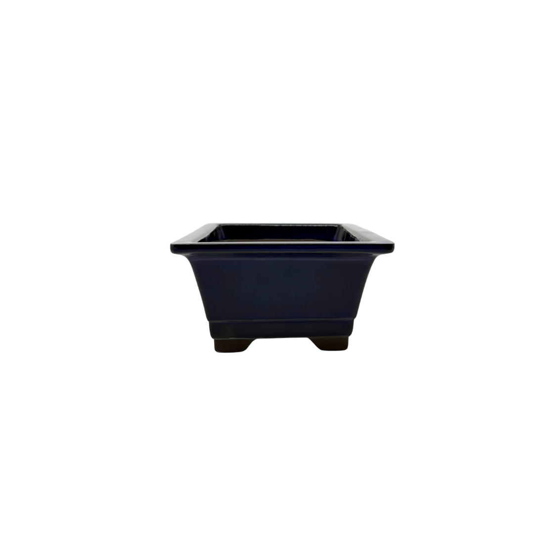 Bonsai pot set - rectangular, glazed, blue (14cm wide)