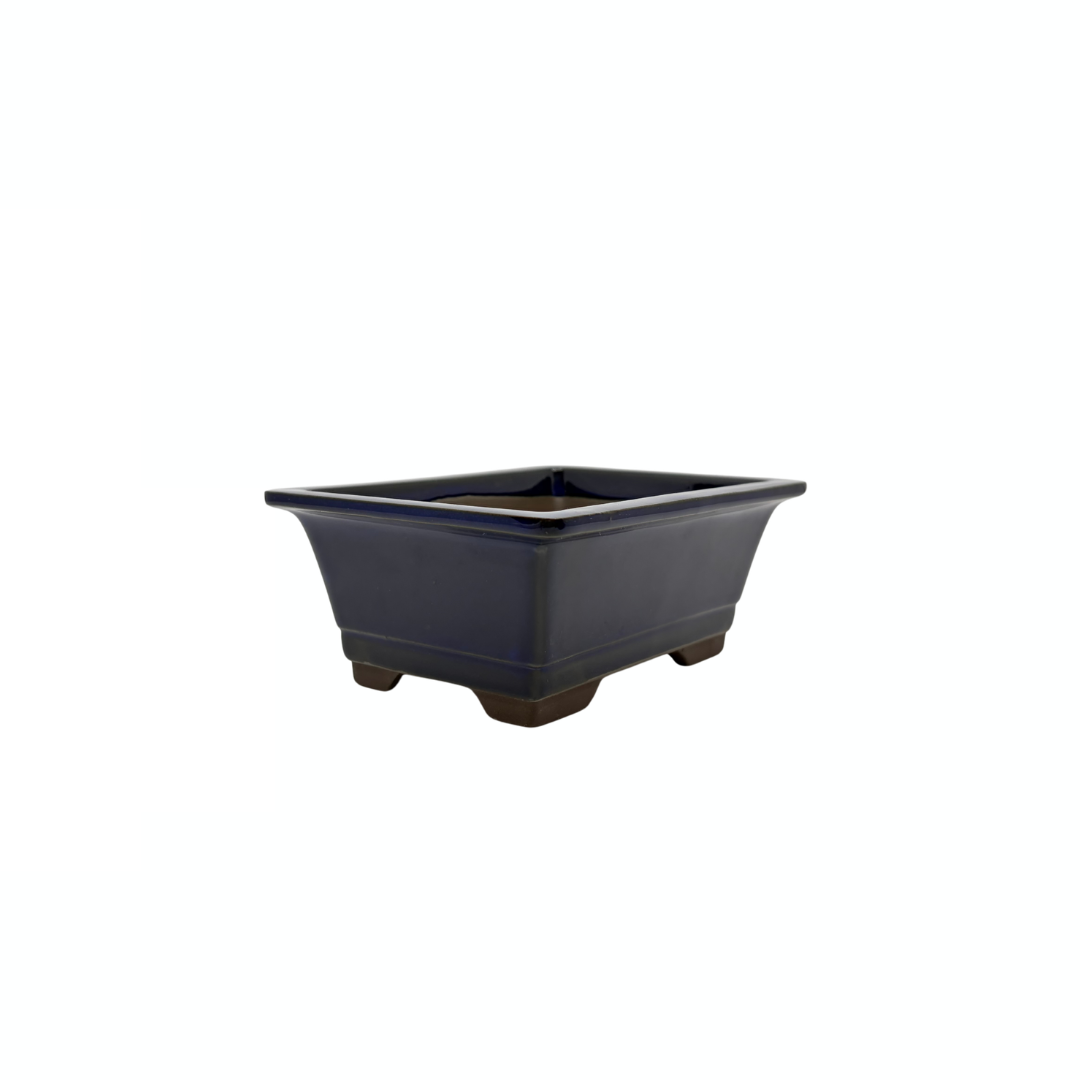 Bonsai pot set - rectangular, glazed, blue (14cm wide)